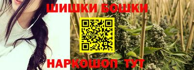 a pvp Камышлов