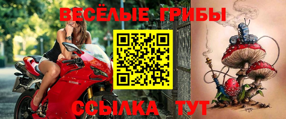 Псилоцибиновые грибы Magic Shrooms  Вход с VPN  Йошкар-Ола 