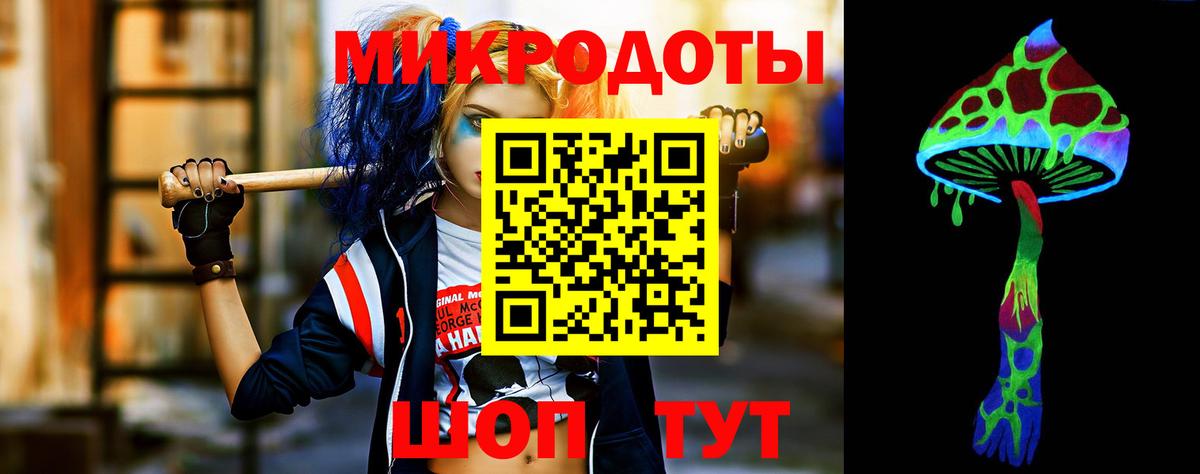 Псилоцибиновые грибы Psilocybe Йошкар-Ола